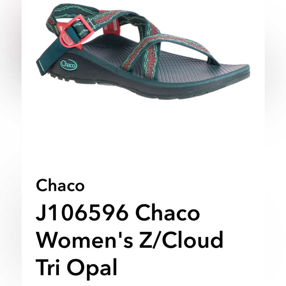 Chaco Z/Cloud Sandal